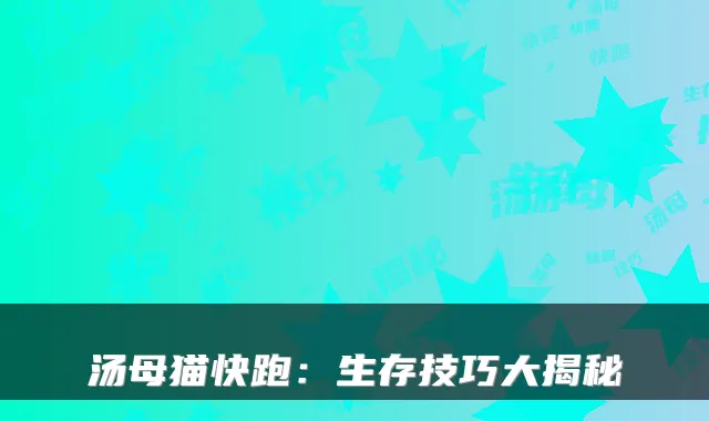汤母猫快跑：生存技巧大揭秘