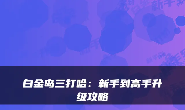 白金岛三打哈：新手到高手升级攻略