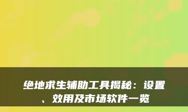 绝地求生辅助工具揭秘：设置、效用及市场软件一览