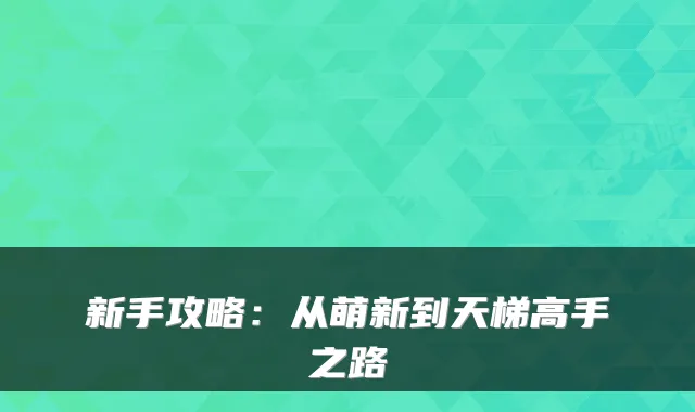 新手攻略：从萌新到天梯高手之路