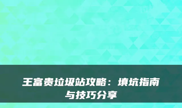 王富贵垃圾站攻略：填坑指南与技巧分享