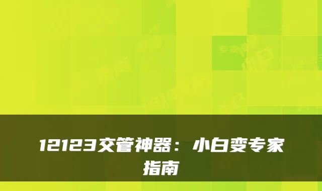 12123交管神器：小白变专家指南