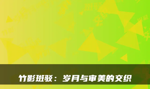 竹影斑驳：岁月与审美的交织