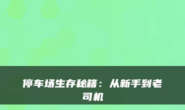 停车场生存秘籍：从新手到老司机