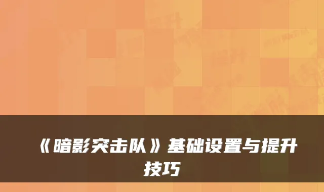 《暗影突击队》基础设置与提升技巧