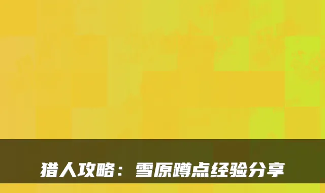 猎人攻略：雪原蹲点经验分享