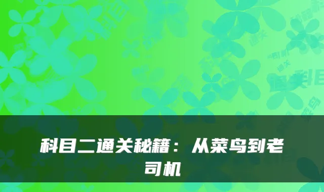 科目二通关秘籍：从菜鸟到老司机