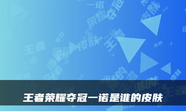 王者荣耀夺冠一诺是谁的皮肤