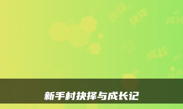 新手村抉择与成长记