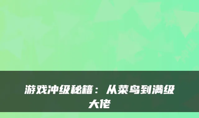游戏冲级秘籍：从菜鸟到满级大佬