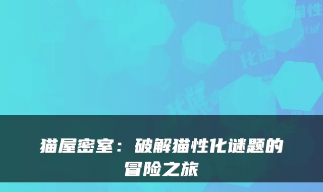 猫屋密室：破解猫性化谜题的冒险之旅