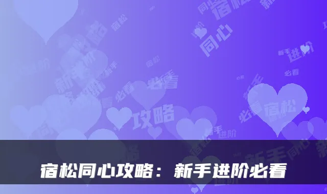 宿松同心攻略：新手进阶必看