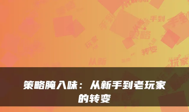 策略腌入味:从新手到老玩家的转变