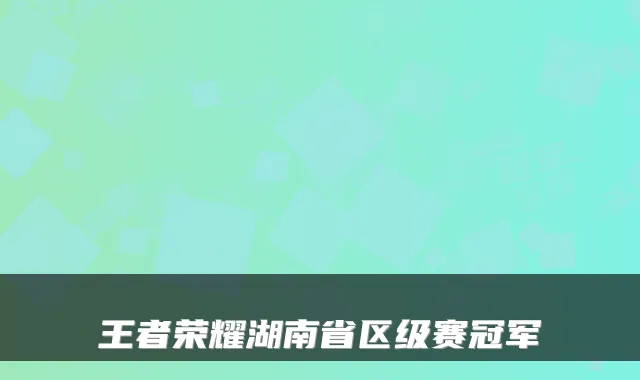 王者荣耀湖南省区级赛冠军