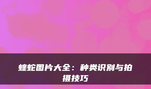 蝰蛇图片大全:种类识别与拍摄技巧