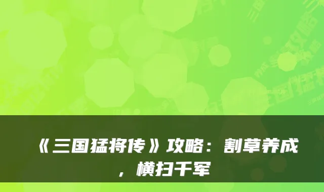 《三国猛将传》攻略：割草养成，横扫千军