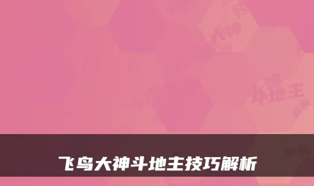 飞鸟大神斗地主技巧解析