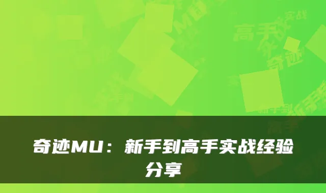 奇迹MU:新手到高手实战经验分享