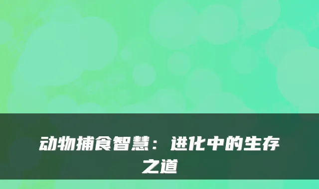 动物捕食智慧：进化中的生存之道
