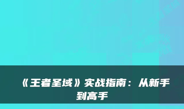 《王者圣域》实战指南：从新手到高手