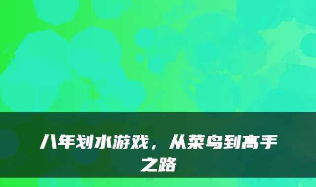 八年划水游戏，从菜鸟到高手之路