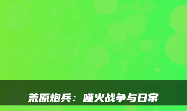 荒原炮兵：哑火战争与日常