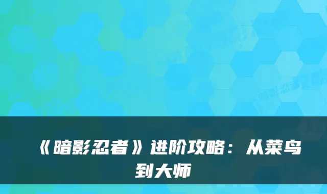 《暗影忍者》进阶攻略：从菜鸟到大师
