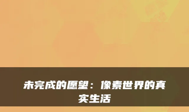 未完成的愿望：像素世界的真实生活