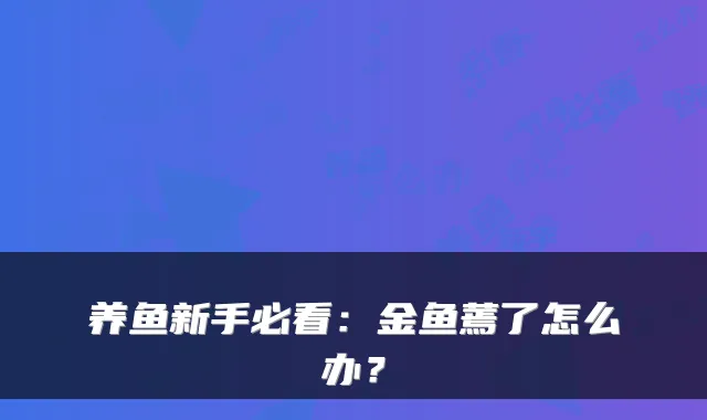 养鱼新手必看：金鱼蔫了怎么办？