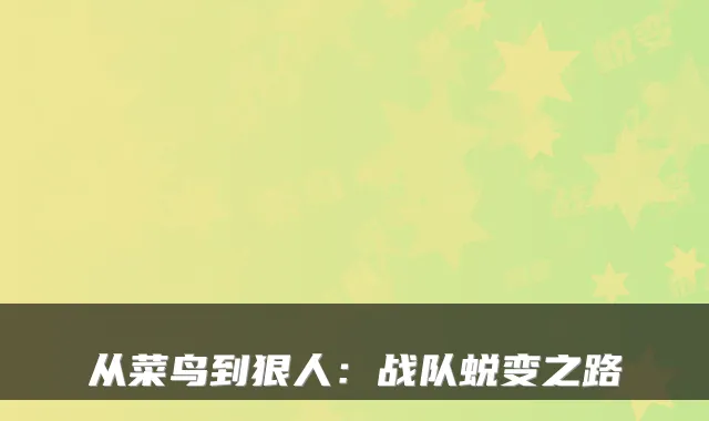 从菜鸟到狠人：战队蜕变之路