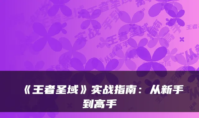 《王者圣域》实战指南：从新手到高手
