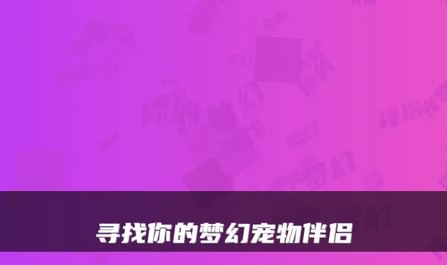 寻找你的梦幻宠物伴侣