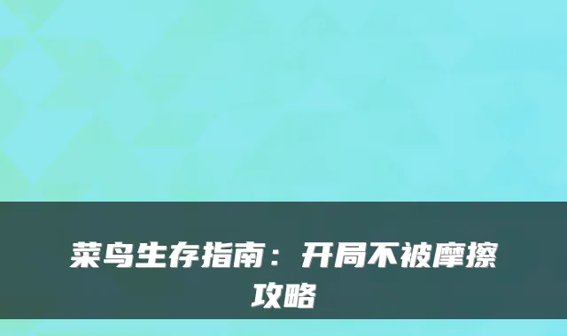 菜鸟生存指南：开局不被摩擦攻略