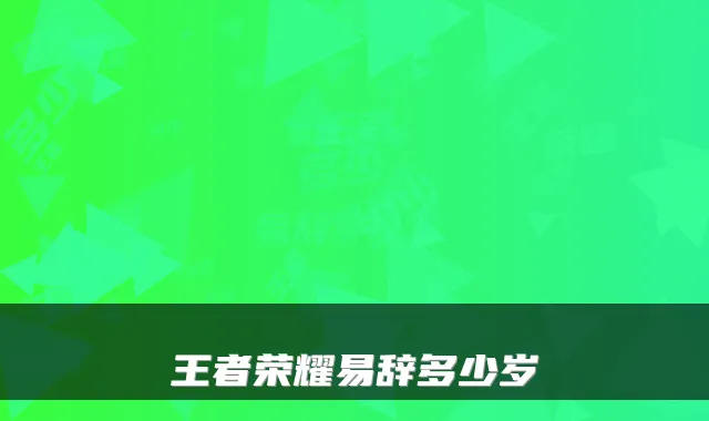 王者荣耀易辞多少岁
