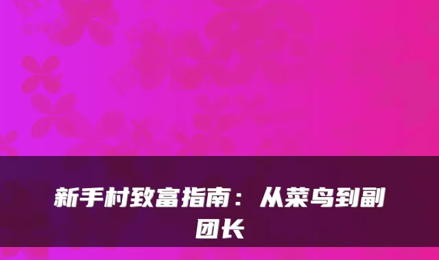 新手村致富指南：从菜鸟到副团长