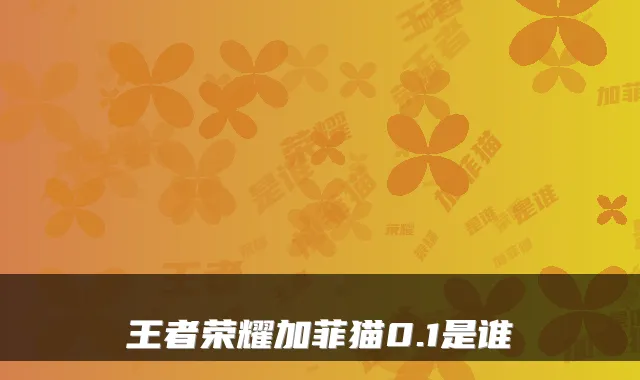 王者荣耀加菲猫0.1是谁