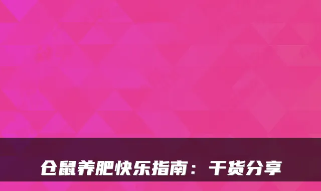 仓鼠养肥快乐指南：干货分享