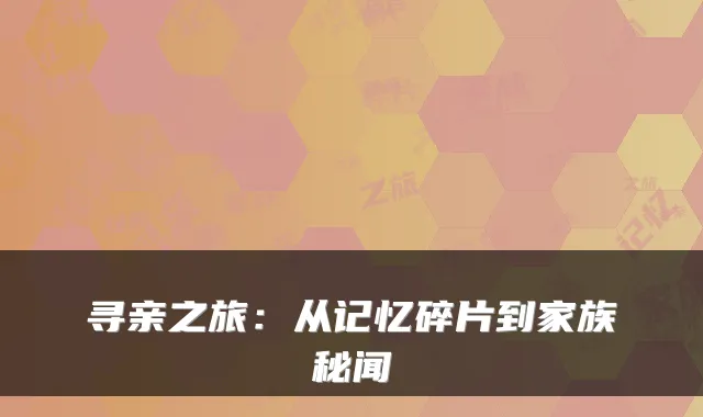 寻亲之旅：从记忆碎片到家族秘闻