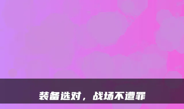 装备选对，战场不遭罪