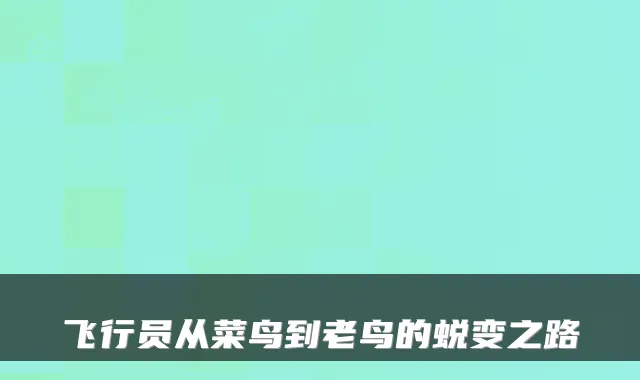 飞行员从菜鸟到老鸟的蜕变之路