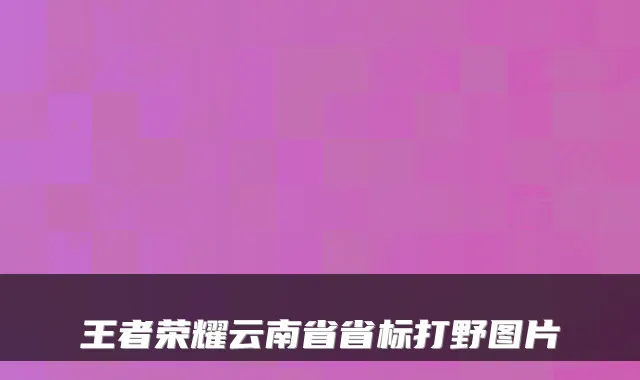王者荣耀云南省省标打野图片