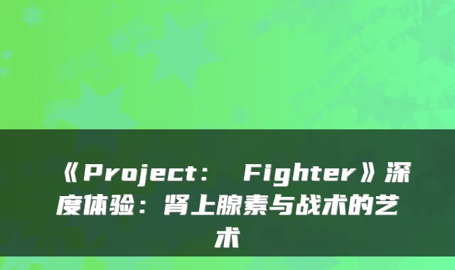 《Project： Fighter》深度体验：肾上腺素与战术的艺术