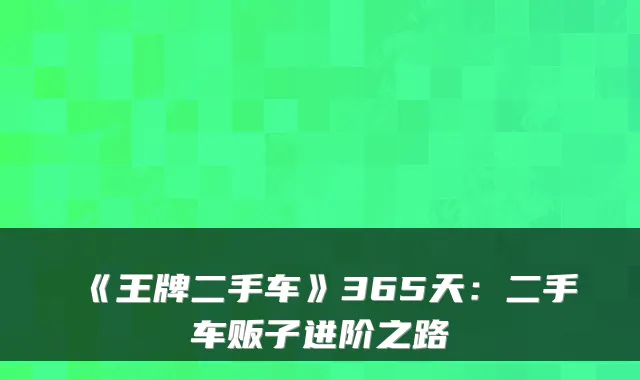 《王牌二手车》365天：二手车贩子进阶之路