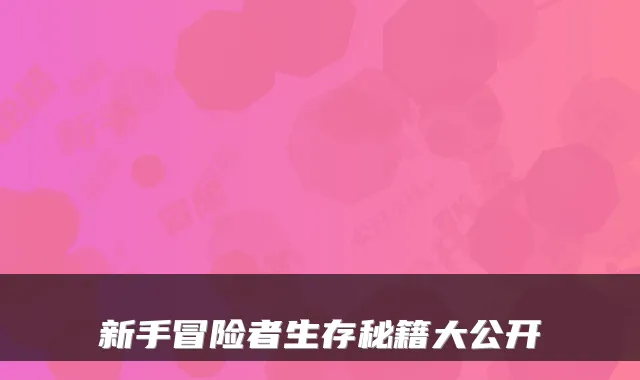 新手冒险者生存秘籍大公开