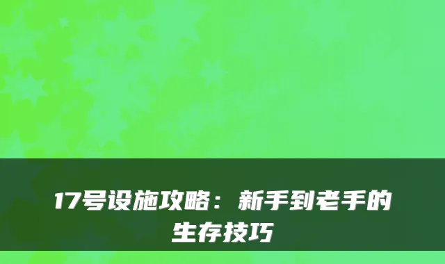 17号设施攻略：新手到老手的生存技巧