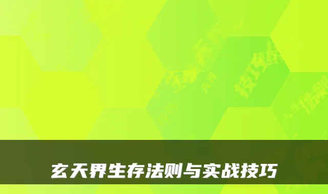 玄天界生存法则与实战技巧