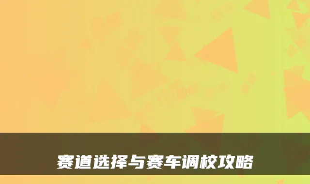 赛道选择与赛车调校攻略