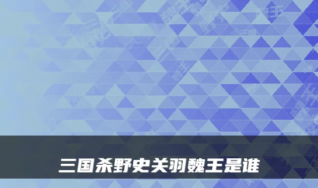 三国杀野史关羽魏王是谁