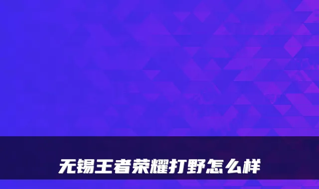 无锡王者荣耀打野怎么样