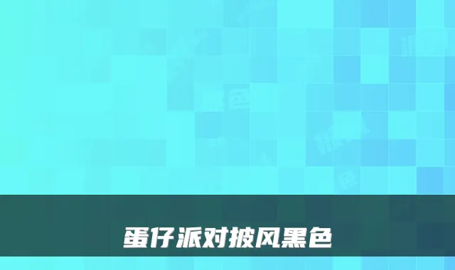 蛋仔派对披风黑色
